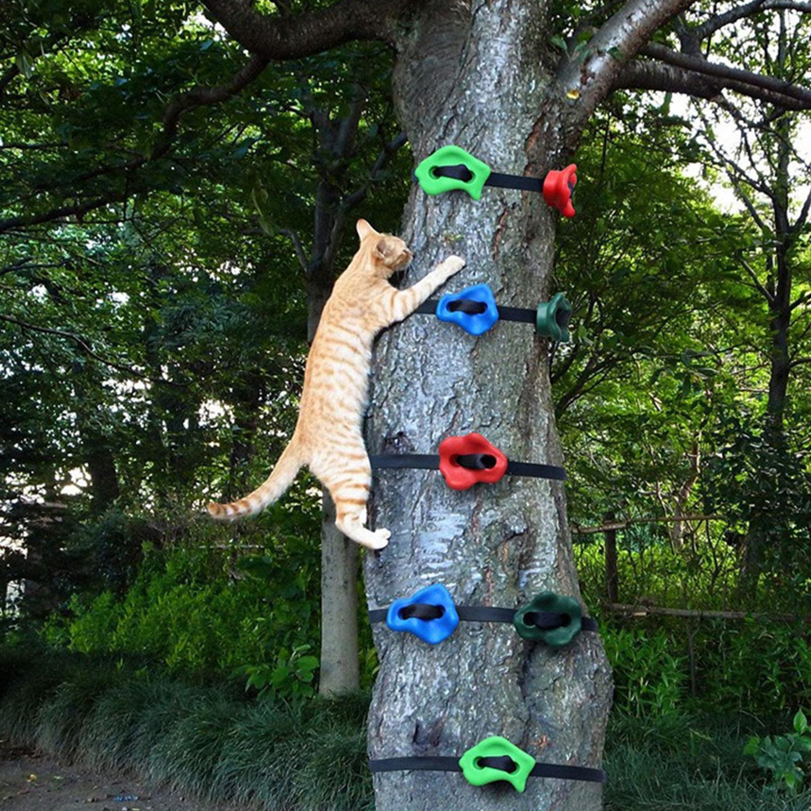 Zabawki do wspinaczki na zewną – Outdoor Adventure Course recenzja i cena